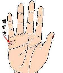 手相教你如何看感情线 手中感情线有什么含义