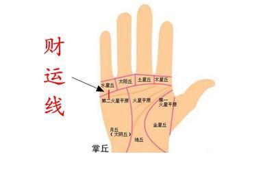 手相教你如何看手相财运线 手中财运线意味着什么