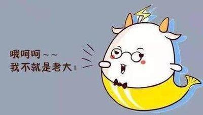 摩羯座的优点有哪些盘点摩羯座的优点
