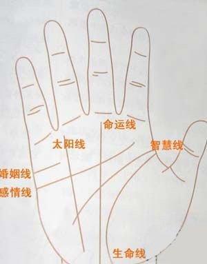 手相智慧线图解大全 通过手相智慧线看命运