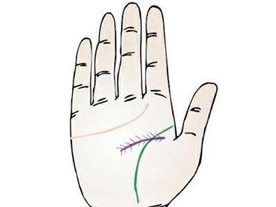 手相智慧线看你一生运势走向 通过智慧线了解你一生 手相智慧线看你一生运势走向 通过智慧线了解你一生