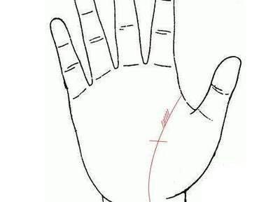 手相智慧线看你一生运势走向 通过智慧线了解你一生 手相智慧线看你一生运势走向 通过智慧线了解你一生