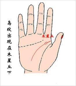 手相最全智慧线图解大全 智慧线手相如何看