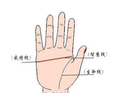 手相有两条感情线说明什么 手中的感情线怎么看