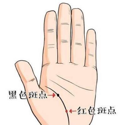 手相有这几种特征的人不好相处脾气差