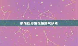 摩羯座的男生有哪些优点和缺点 分析摩羯男的性格