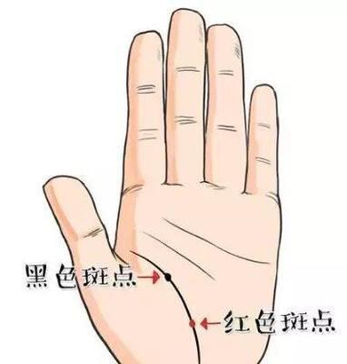 手相生命线分叉表示了什么 生命线分叉是不好的吗