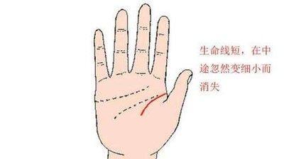 手相生命线图详解 手中的生命线意味着什么
