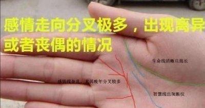 手相生命线是粗好还是细好 通过生命线看你一生