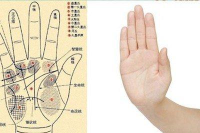 手相生命线短代表了什么 生命线短说明了哪些问题