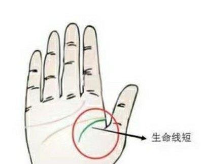 手相生命线短代表着什么 生命线短是啥意思