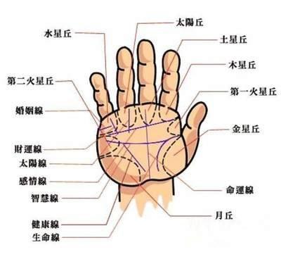 手相生命线短的人是不是命比较短 生命线短有哪些影响