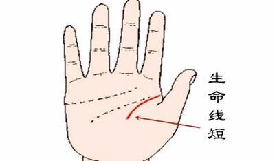 手相生命线短的人是不是命比较短 生命线短有哪些影响