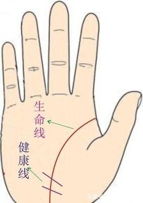 手相生命线详细讲解 教你看手中的生命线