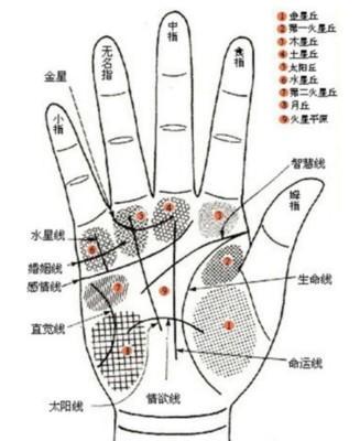 手相的命运分析生命线 手相生命线意味着什么