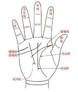 手相的智慧线象征着什么 智慧线手相的含义分析
