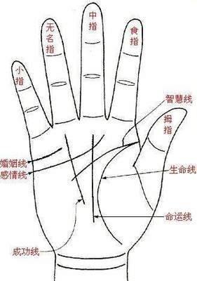 手相看你有机会发横财吗有意外之财
