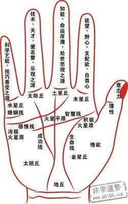 手相看哪些女人会嫁好男人婚姻幸福
