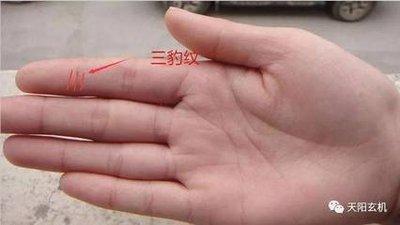 手相看哪些女性异性缘特别好得人喜欢