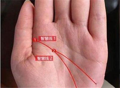 手相看财运 这几种手相的人财运长虹
