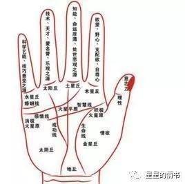 手相看财运4个特征图解 手相跟财运怎么看