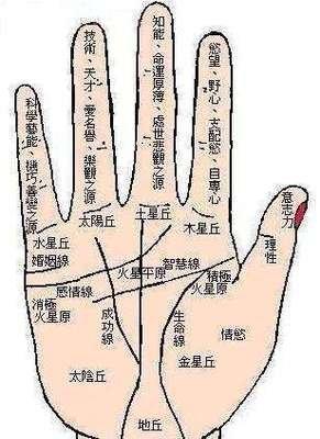 手相看财运4个特征图解 手相跟财运怎么看