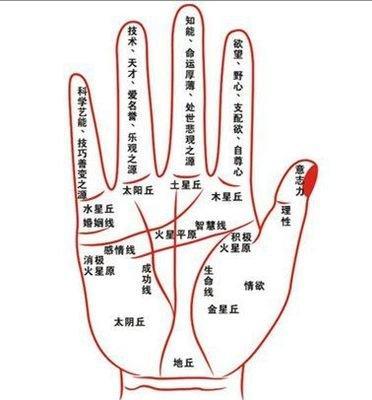 手相真的跟命运有关吗 手相可以随便看吗