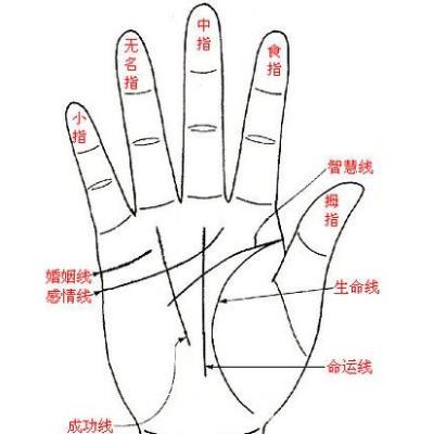 手相真的跟命运有关吗 手相可以随便看吗