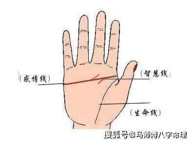 手相真能看出一生运势吗 什么手相的人运气好