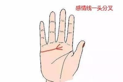 感情线分叉什么意思 感情线有分叉好不好