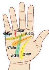 感情线分叉代表什么意思 感情线分叉到底好不好