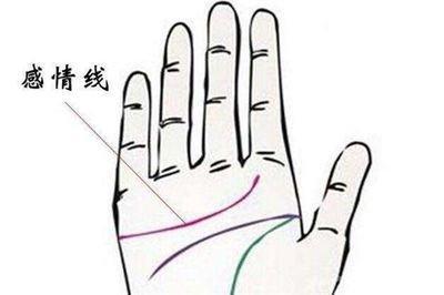 感情线分叉多代表什么 手中感情线多分叉好不好