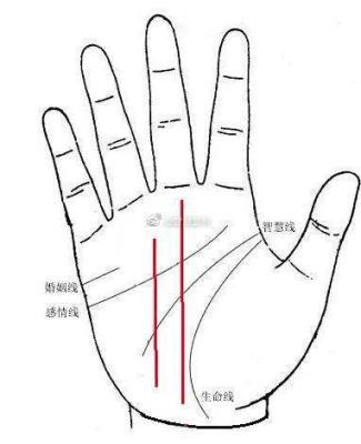 感情线和事业线完全平行的含义是什么