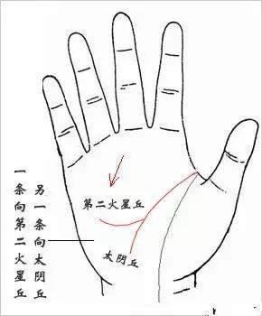 手相解析之感情线分叉含义 手相感情线分叉图解 手相解析之感情线分叉含义 手相感情线分叉图解