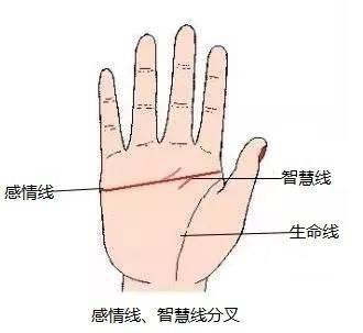 手相解析之感情线分叉含义 手相感情线分叉图解