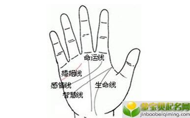 手相解析命运线 手相命运线详细分析