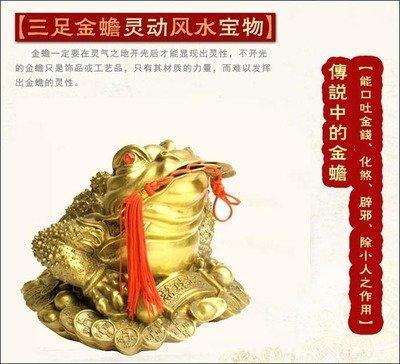 教你2025年如何用风水吉祥物化小人
