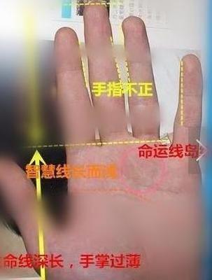手相解析手小的女人命运如何运气好吗