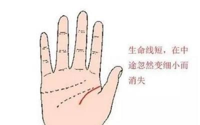 手相解析生命线 生命线好坏该怎么看 手相解析生命线 生命线好坏该怎么看