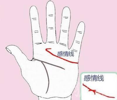 感情线断裂有什么意义 分析感情线断裂的人一生