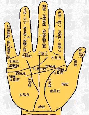 手相该如何看财运好坏 财运好的人手相怎样