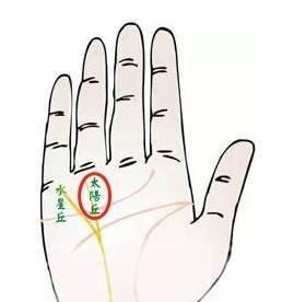 手相该如何看财运好坏 财运好的人手相怎样