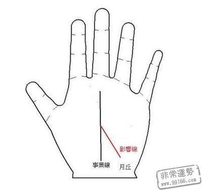 感情线有横线手相图解你的感情生活
