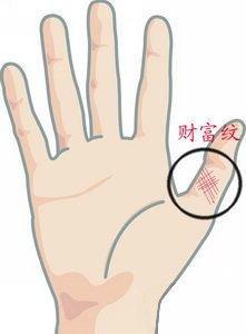 手相财富纹图解 手中财富纹该怎么看