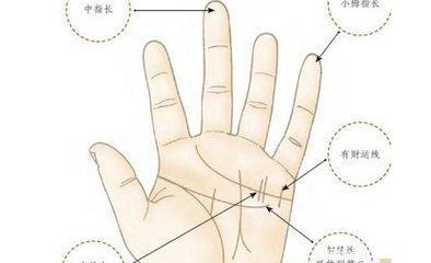 手相财运线代表什么意思 财运线手相怎么看