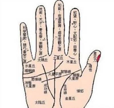 手相财运线可看出你的财运好还是不好