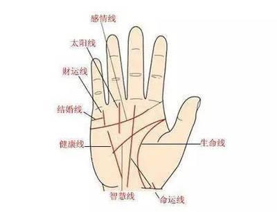 手相财运线可看出你的财运好还是不好