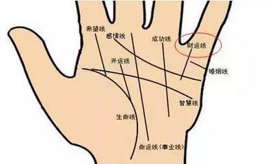 手相财运线是哪一条 手中的财运线代表着什么