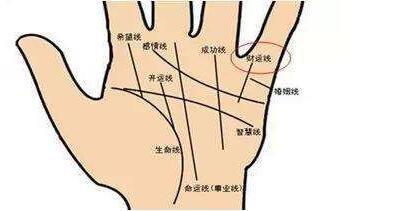 手相财运线详细解析 手中的财运线意味着什么