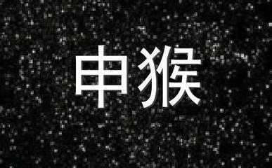 感情过度包容对方的星座女 越爱越难